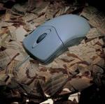 mouse newspaper.jpg